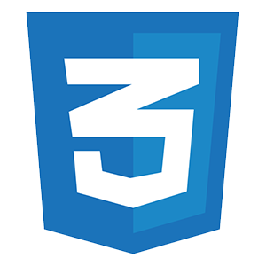 CSS
