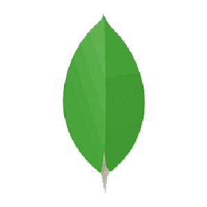 Mongodb